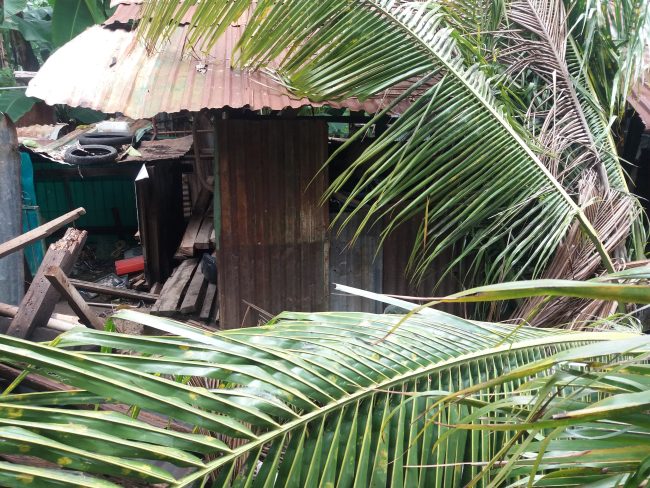 20190130 122836 scaled