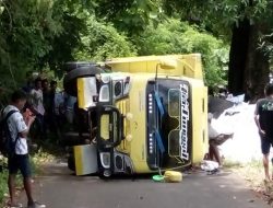 Truk bermuatan Rasta 4 Ton Nyaris Masuk Jurang