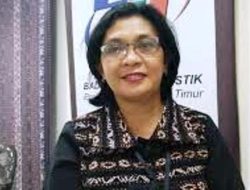 Januari 2019 Nilai Tukar Petani Turun 0,36%