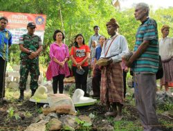 Program Jambanisasi Untuk Meningkatkan Kwalitas Kesehatan Masyarakat Perbatasan