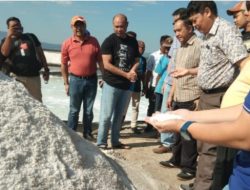 Gubernur Viktor Laiskodat Kembali Kunjungi Tambak Garam Nunkurus