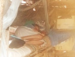 Tinggal di Gubuk Reot, Nenek di Belu ini Tidak Pernah Berharap Bantuan Orang lain