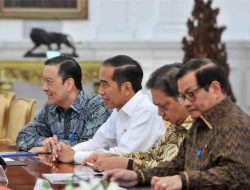 Temui Presiden Jokowi, Pimpinan Hyundai Rencanakan Produksi Mobil di Indonesia