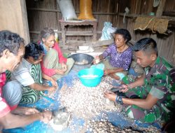 Masyarakat Perbatasan RI-RDTL Latih Anggota Satgas Cara Kupas Kulit Kemiri Dengan Alat Tradisional