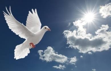 images 13