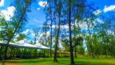 images 16