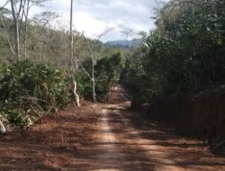 Masyarakat Desa Beo Rahong Antusias Buka Jalan Tani dari Dana Desa