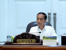 Presiden: Kita Harus Bergerak Cepat Antisipasi Penurunan Ekonomi Global