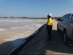 Kristal-Kristal Garam Mulai Terbentuk