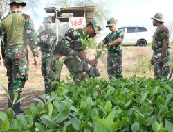 Jelang Hari Juang TNI AD Tahun 2019, Tanam Mangrove di Oesapa Barat