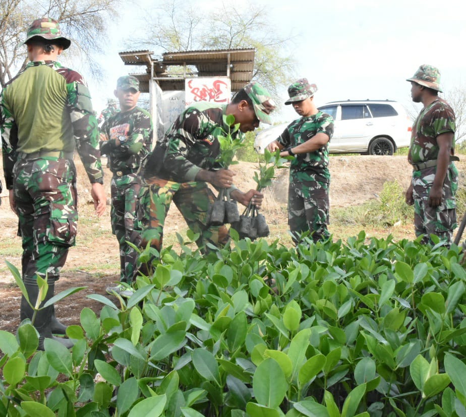 Jelang Hari Juang TNI AD Tahun 2019, Tanam Mangrove di Oesapa Barat