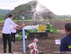 Presiden Jokowi Tinjau Lokasi Penanaman Jagung, Food Estate Di Kab. Belu – NTT