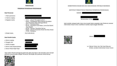 Sosialiasi Pendataan Perusahaan Pers, Dewan Pers Pendirian Perseroan Perseorangan Bukan Perusahan Pers