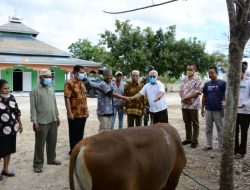 16 Masjid Menerima Bantuan Hewan Kurban dari Pemkot Kupang
