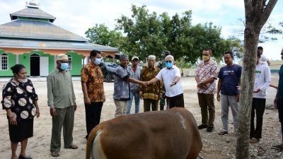16 Masjid Menerima Bantuan Hewan Kurban dari Pemkot Kupang