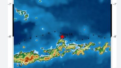 Gempabumi Tektonik M 3.8 Mengguncang  Kecamatan Tanjung Bunga Kabupaten Flores Timur