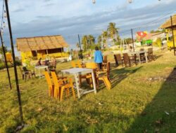 Caffe Mai Tuli Se’e di Mbay Tawarkan Konsep Angkringan di Tengah Sawah, Ada View Sunset 