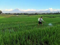 PT Pandawa Agri Indonesia Ubah Skema Kemitraan Dengan Petani Mbay