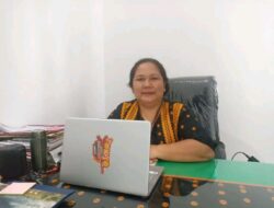 Awal Januari RSUD Aeramo Rawat 28 Pasien DBD