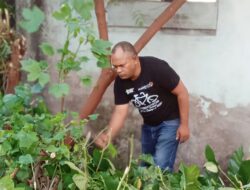 Kelurahan Danga Zona Merah DBD, Hans Lado: Kantor Pemerintah Tidak Bersih Jadi Sarang Nyamuk 
