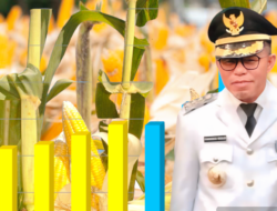 Pemda Nagekeo Dorong Optimalisasi Lahan Tidur Guna Meningkatkan Produksi Jagung
