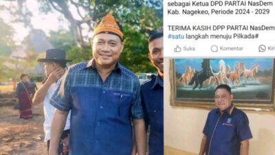 Tanggapi Rumor Terpilih Jadi Ketua DPC NasDem Nagekeo, Toti: Informasi Itu…,