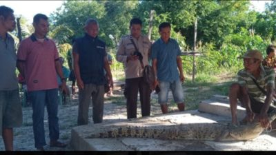 Screenshot 20240713 181142 Samsung Internet