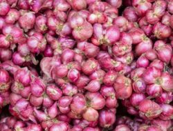 Kasus Bawang Merah Telah Selesai
