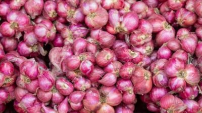 Kasus Bawang Merah Telah Selesai