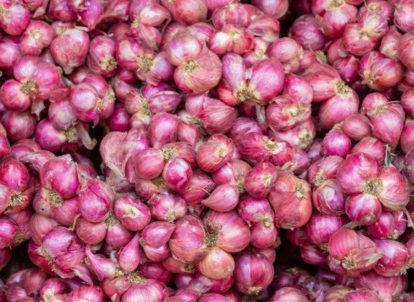 Screenshot 20240714 223213 Samsung Internet