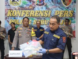 Sesosok Jasad Bayi Digigit Anjing Gemparkan Warga Sabu Raijua