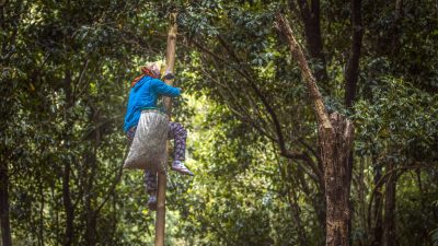 30578421118 aec0b6b55c b