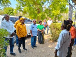 Paket Gerbang Emas Janji Bangun BLK di Nagekeo Untuk Calon TKI Ke Luar Negeri 