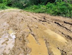Akses Jalan ke Selalejo Mirip Sawah Habis Dibajak