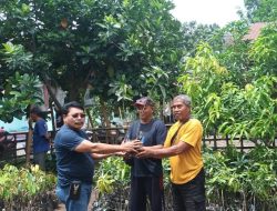 Legislator NasDem Sumbang Ribuan Bibit Buah Unggul 