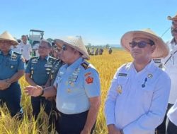 Sesko TNI : Keberhasilan Panen Raya  Wujud Nyata Kontribusi Masyarakat Dalam Menjaga Ketahanan Pangan