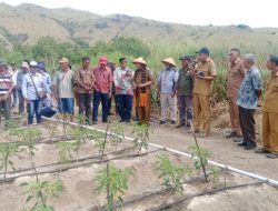 PPL di Nagekeo Diminta Berperan Aktif Mendukung Program MBG