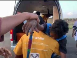 Duh! Joki Cilik Terjatuh Saat Pacuan Kuda Berlangsung, Standar Keselamatan Disorot