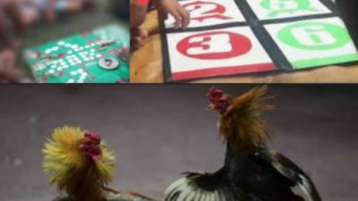 Screenshot 2025 08 14 21 17 04 73 7ecc343528d84aae1423bfb8eca3bd44