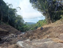 Ribuan Tanaman Pala di Pajoreja Diterjang Bencana, Produksi Sirup Pala Menurun, Ekonomi Terganggu 