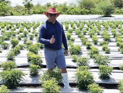 Ronaldo Asury: Hari Tani Nasional 2025, Momentum Perjuangan Kedaulatan Pangan dan Kesejahteraan Petani