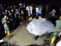 Pencarian Korban Banjir Nagekeo: Anjing Pelacak Endus Titik Lokasi Korban Hilang