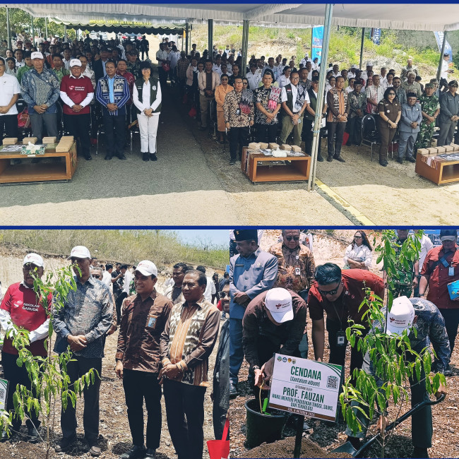 IMG 20251008 WA00781