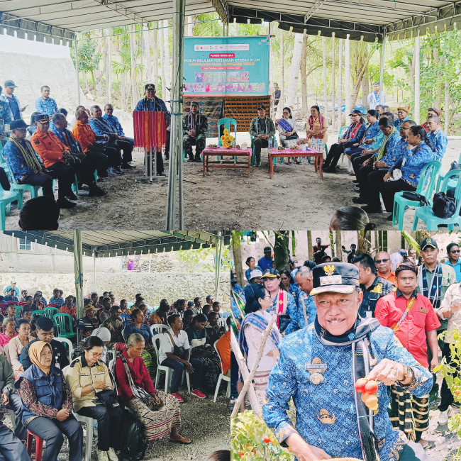 IMG 20251018 WA00181