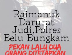 Raimanuk Darurat Judi Bola Guling:Polres Belu kehilangan Taji,Diduga Ada oknum yang Backup!