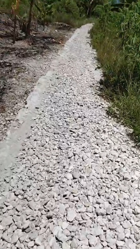 IMG 20251203 13331769