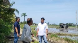 Perum BULOG Kanwil NTT Siap Dukung Swasembada Pangan Melalui Penyerapan Gabah Petani Lokal