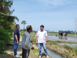 Perum BULOG Kanwil NTT Siap Dukung Swasembada Pangan Melalui Penyerapan Gabah Petani Lokal