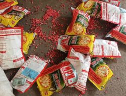 Warga Desa Pene Selatan Kembalikan Benih Jagung Diduga Kadaluarsa, Jenis Tidak Sesuai RAB
