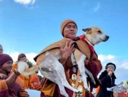 Aloka Telah Tiba di Washington D.C.